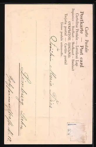 AK Neujahrsengel in Winteridylle