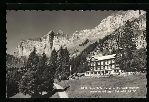 AK Walenstadt-Berg, Alpenhotel Schrina-Hochruck