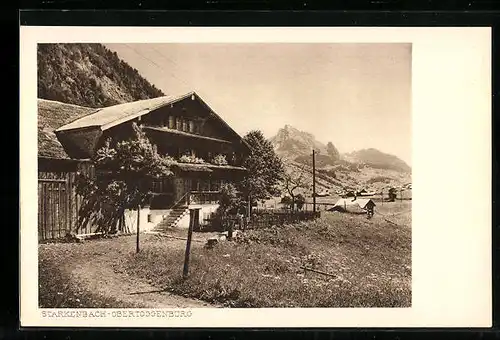 AK Starkenbach-Obertoggenburg, Chalet in den Bergen