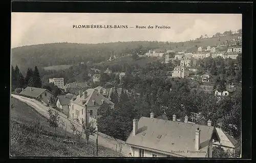 AK Plombières-les-Bains, Route des Feuillées