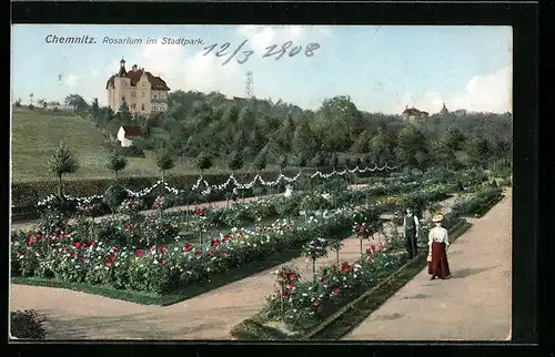 AK Chemnitz, Rosarium im Stadtpark