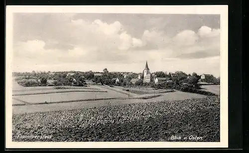 AK Flammersfeld /Westerwald, Blick von Osten auf den Ort