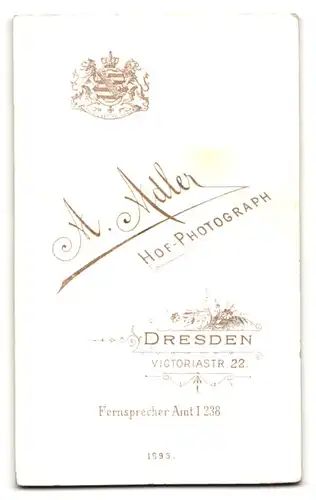 Fotografie A. Adler, Dresden, Victoriastr. 22, Niedliches Kleinkind im gepunkteten Kleid mit Spitzenkragen