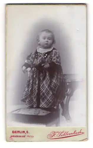 Fotografie F. Schloenbach, Berlin S., Hasenhaide 52 /53, Süsses Kleinkind im karrierten Kleidchen steht auf einem Stuhl