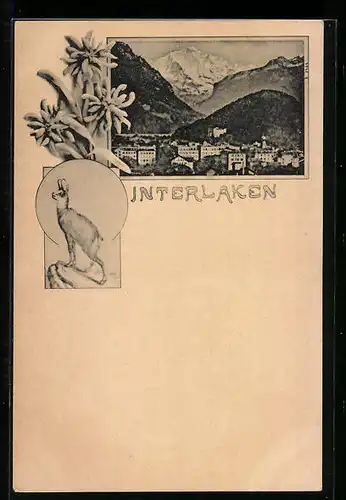 AK Interlaken, Teilansicht, Gams, Alpenblume