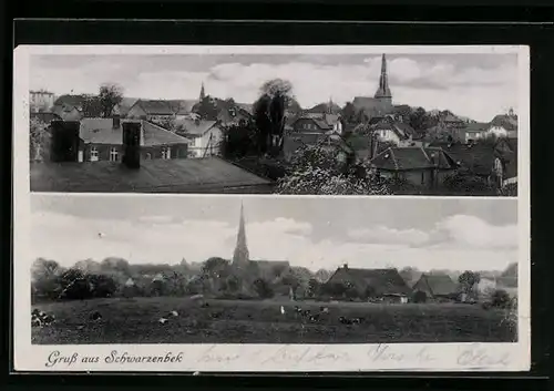 AK Schwarzenbek, Teilansicht aus der Vogelschau, Panorama mit Wiesen