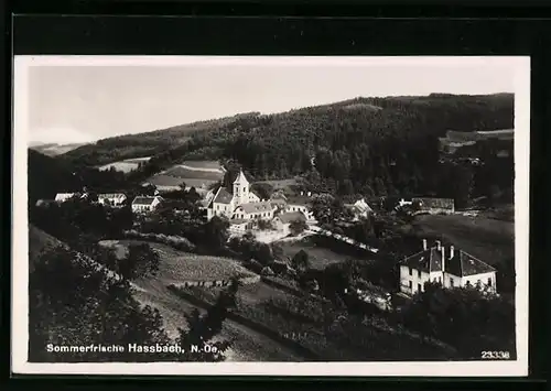 AK Hassbach, Ortsansicht aus der Vogelschau