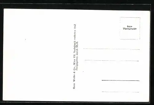 AK Seitenstetten, Fliegeraufnahme des Ortes