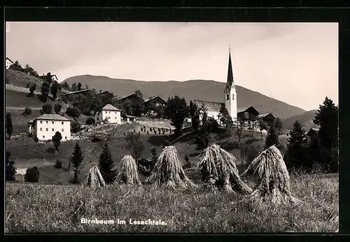 AK Birnbaum /Lesachtal, Ortsansicht hinter Garben