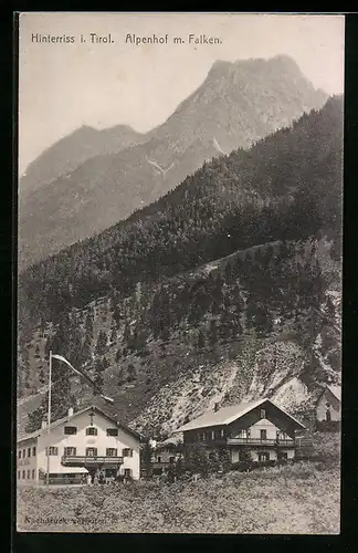 AK Hinterriss, Alpenhof mit Falken