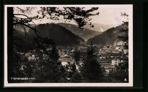 AK Hohenberg, Ortsansicht aus der Vogelschau