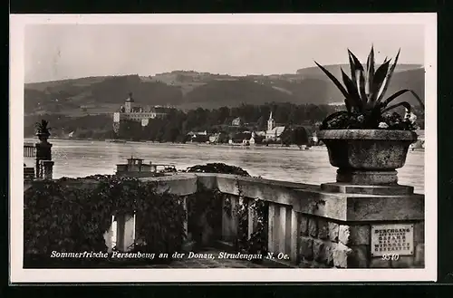 AK Persenbeug a. d. Donau, Strudengau, Blick über die Balustraden auf den Fluss