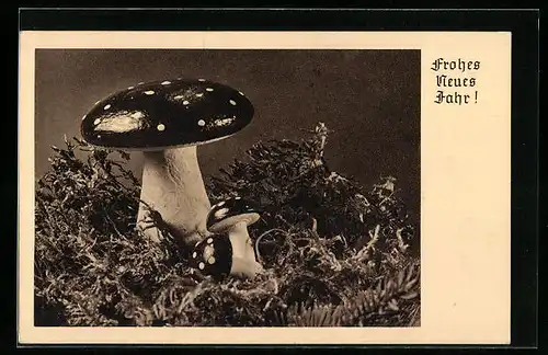 AK Glänzende Fliegenpilze im Moos, Neujahrsgruss