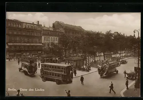 AK Berlin, Unter den Linden, Strassenpartie mit Omnibussen