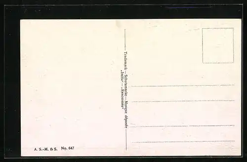 Ölgemälde-Imitations-AK Imita / A.S.-M. Leipzig Nr. 647: Frau schaut in Tal hinab