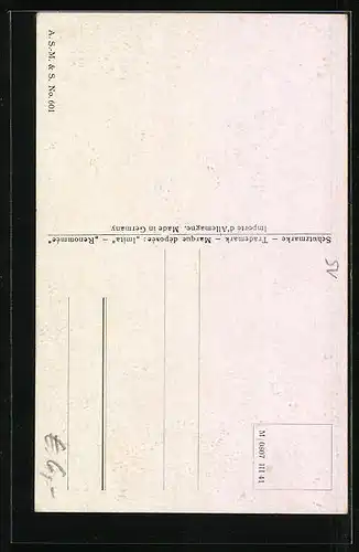 Ölgemälde-Imitations-AK Imita / A.S.-M. Leipzig Nr. 601: Berglandschaft mit einem Holzhaus