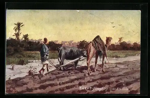 Künstler-AK Raphael Tuck & Sons Nr. 7750: Egypt, Ploughing near the Nile