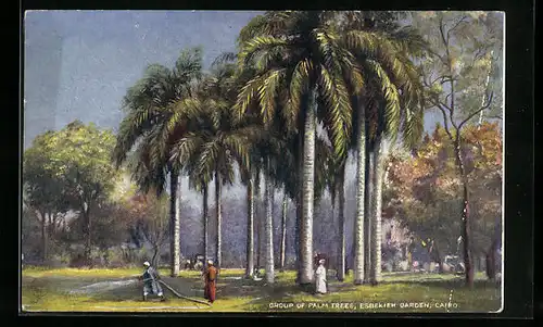 Künstler-AK Raphael Tuck & Sons Nr. 7202: Cairo, Esbekieh Garden, Group of Palm Trees