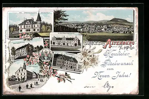 Lithographie Altenberg /Erzgeb., Gesamtansicht, Jagdschloss Rehefeld, Eisenbahnschule, Amtsgericht