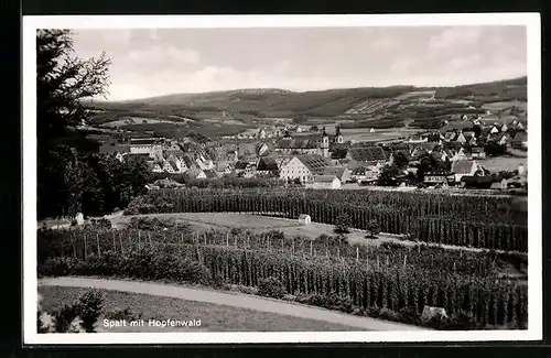 AK Spalt, Ortsansicht mit Hopfenwald