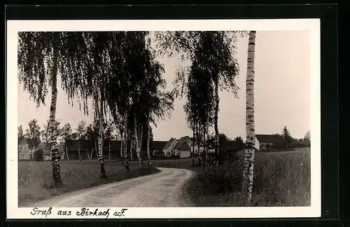 AK Birkach a. F., Strassenpartie mit Blick auf den Ort