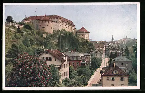 AK Tübingen, Schloss mit Neckarhalde