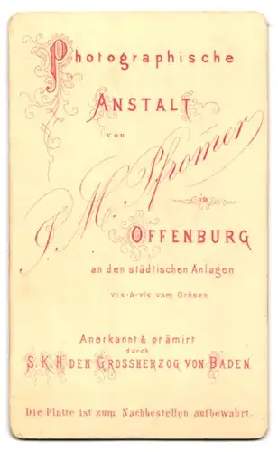 Fotografie I. M. Pfromer, Offenburg, Junge Dame im Kleid mit gebundenem Haar im Halbprofil