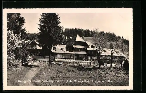 AK Alpl bei Krieglach, Rosegger`s Waldheimat, Alpengasthof Bruggraber