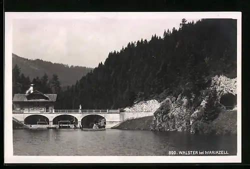 AK Mariazell, Walster, Uferpartie mit Brücke