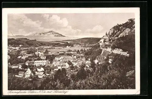 AK Pitten, Ortsansicht mit Schneeberg