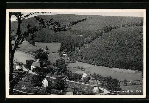 AK Brilon-Wald, Eschental, Blick auf die Landschaft