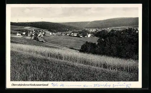 AK Oberschledorn / Hochsauerland, Blick auf die ländliche Ortschaft