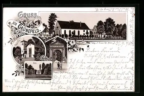 Lithographie Grünefeld, Fürstliche Villa, Bad, Eingang zum Park