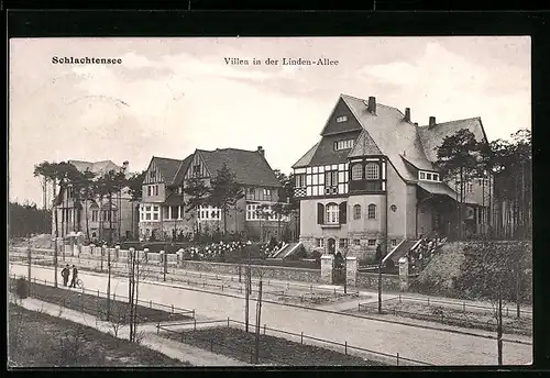 AK Berlin-Schlachtensee, Linden-Allee mit Villen aus der Vogelschau