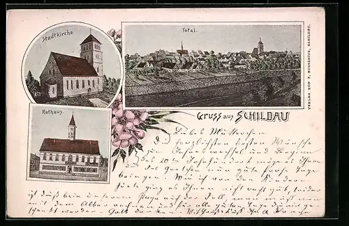 AK Schildau, Totalansicht, Rathaus, Stadtkirche