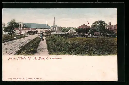 AK Uetersen, Gasthaus Neue Mühle mit Strasse und Umgebung