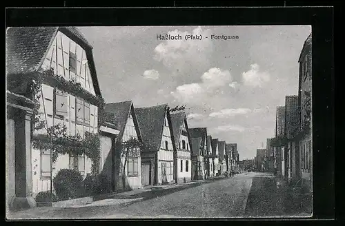 AK Hassloch /Pfalz, Strasse Forstgasse mit Fachwerkhäusern