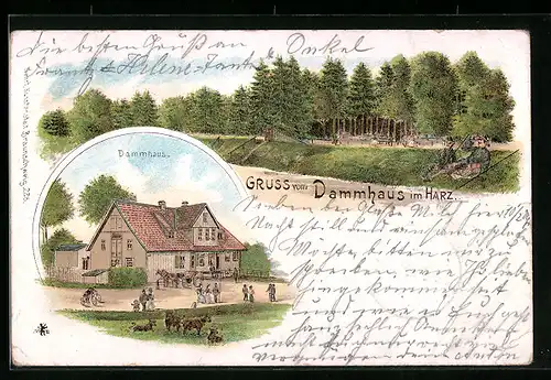 Lithographie Osterode / Harz, Gasthof Dammhaus, Partie am Wald