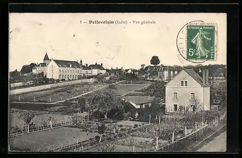 AK Pellevoisin, Vue generale