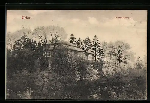 AK Trier, Blick auf Schneidershof