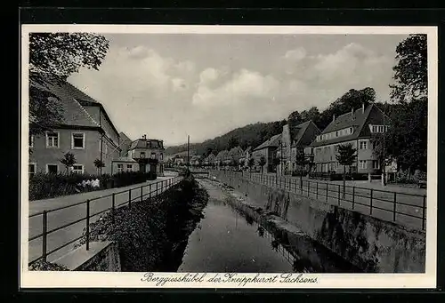 AK Berggiesshübel, Hauptstrasse mit Gewässer