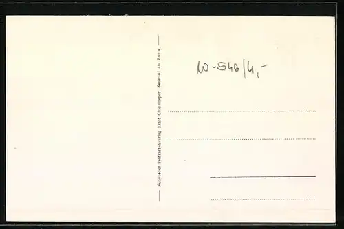 AK Linz am Rhein, Ortsansicht mit Gewässer