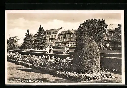 AK Andernach a. Rh., Rheinanlagen im Sommer