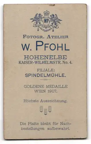 Fotografie W. Pfohl, Hohenelbe, Kaiser-Wilhelmstr. 4, Junge Dame in weisser Bluse und Rock
