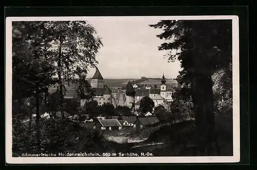 AK Heidenreichstein, Ortsansicht aus der Vogelschau