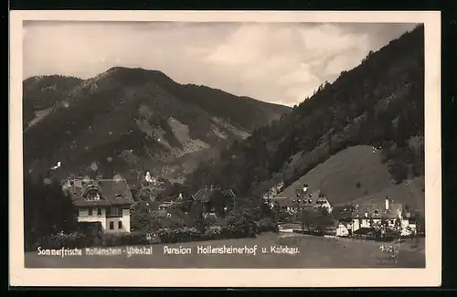 AK Hollenstein-Ybbstal, Pension Hollensteiner Hof und Kalchau, Sommerfrische