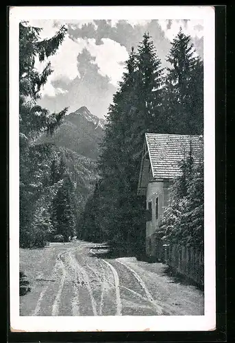 AK Berg im Drautal /Oberkärnten, Villa Maria zugehörig zu Waldpension J. Schader