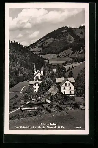 AK Maria Seesal /N.-Do., Blindenheim und Wallfahrtskirche