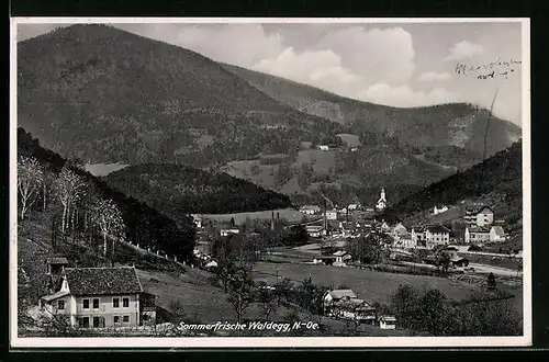 AK Waldegg, Gesamtansicht mit Umgebung
