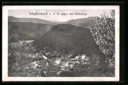 AK Weissenbach a. d. Tr., Ortsansicht gegen den Schneeberg